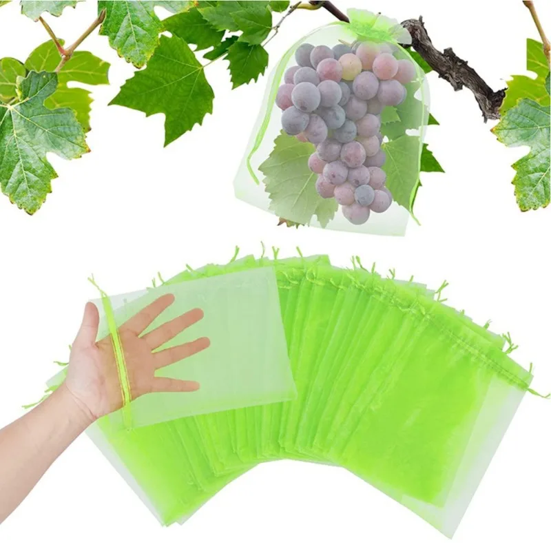 Mesh Net Bag - 50pcs 20x30cm 과일 보호 가방 과일