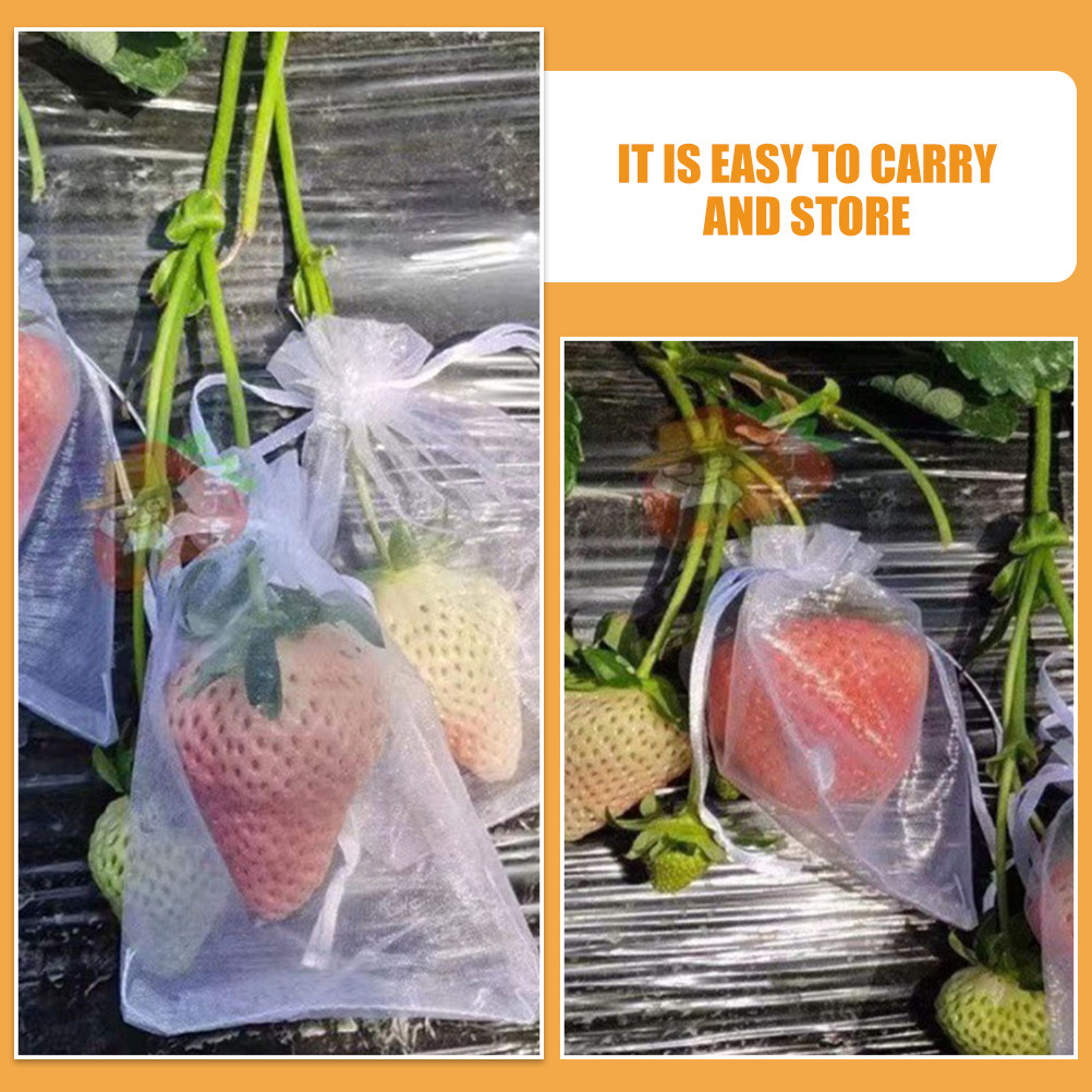 50Pcs 과일 보호 가방 메쉬 드로스트링 네팅 과일  - Mesh Net Bag 리뷰 및 가격