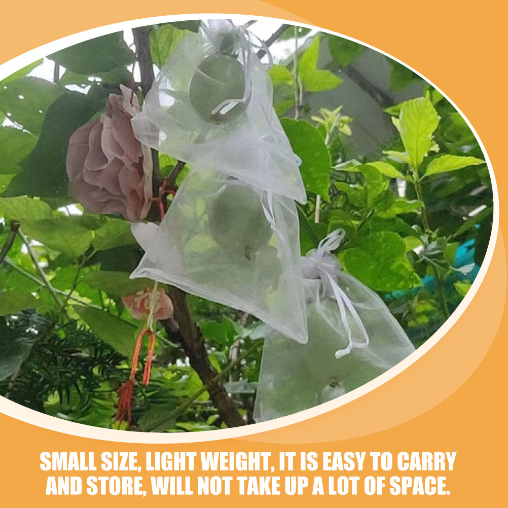 50Pcs 과일 보호 가방 메쉬 드로스트링 네팅 과일  - Mesh Net Bag 리뷰 및 가격